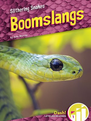 cover image of Boomslangs